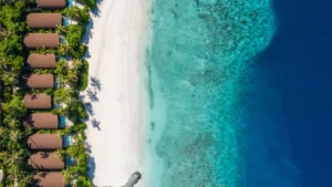 MG Relations reveals 2026 travel trends