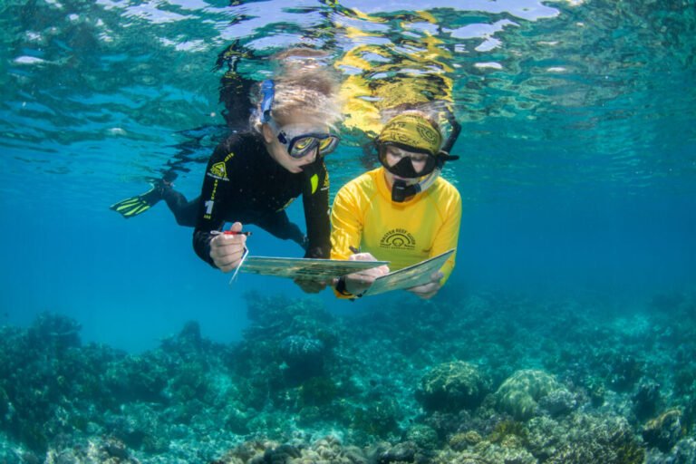 Four Australian cruise firms join Ecotourism Hall of Fame